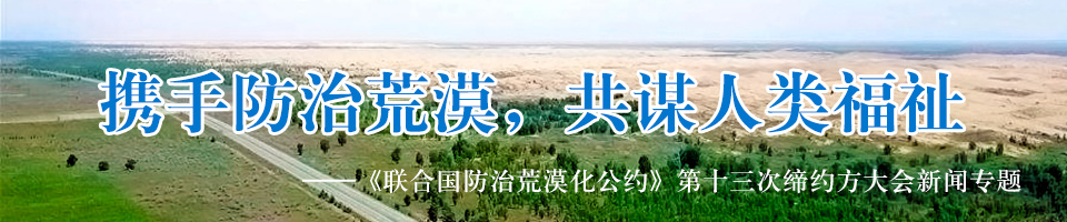生態美、林農富——聚焦“集體林權制度改革”